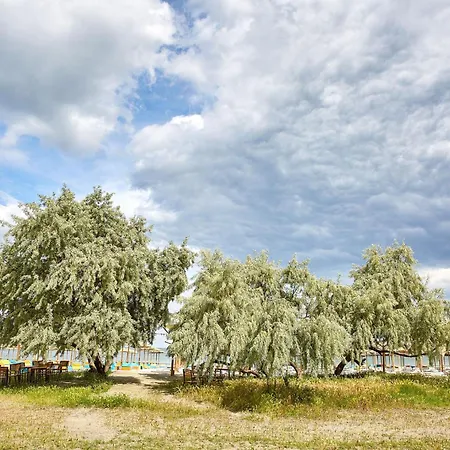 Gold House Appartement Năvodari