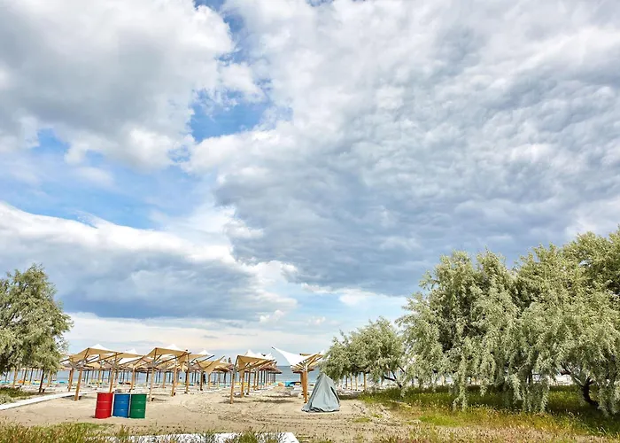 Gold House * 那沃达利