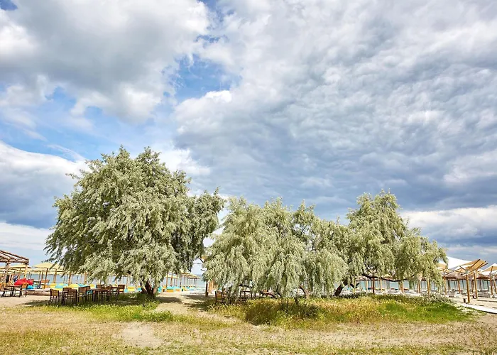 Gold House 公寓 那沃达利